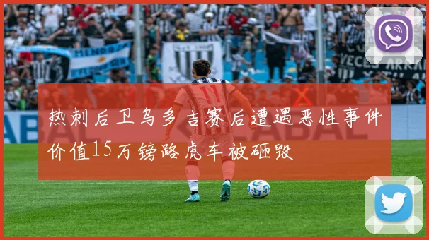 热刺后卫乌多吉赛后遭遇恶性事件价值15万镑路虎车被砸毁